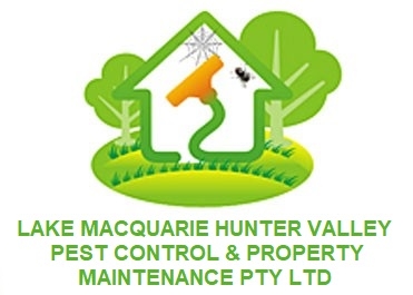 icleanipestcontrollakemacquarie.com.au